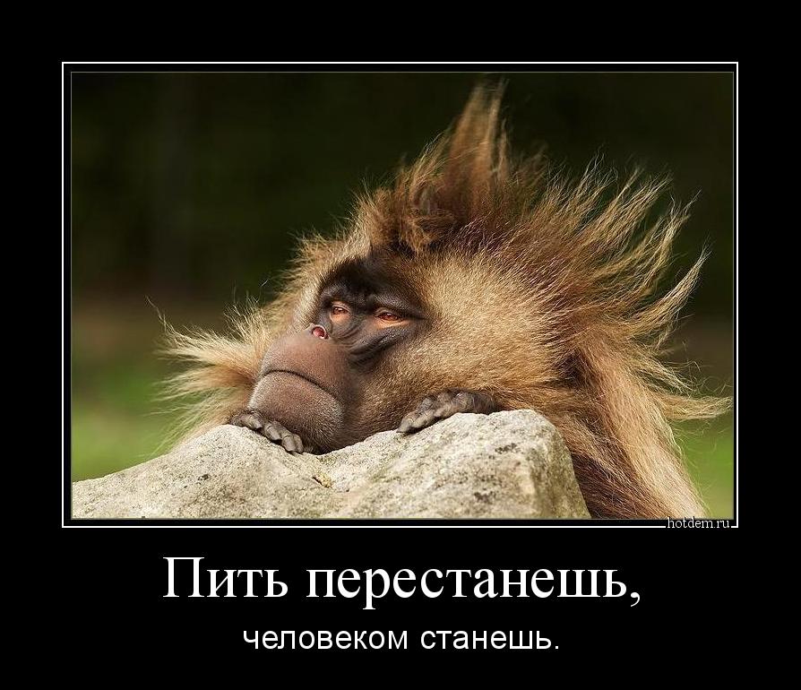 http://hotdem.ru/demotivators/2015/12/hotdem_ru_646242511302687362243.jpg