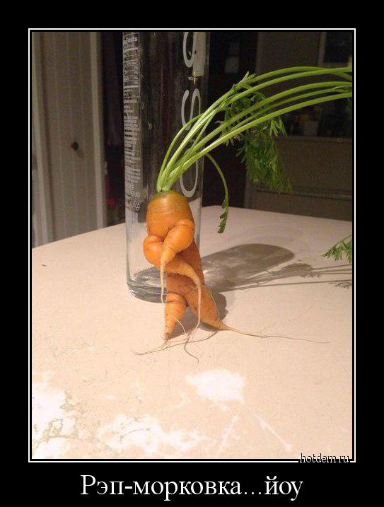 Рэп-морковка...йоу 