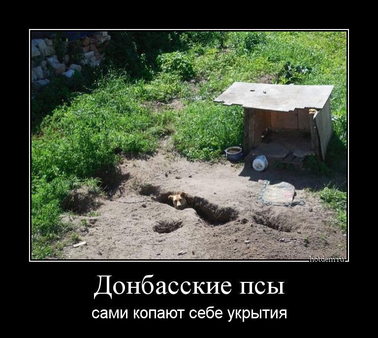 Донбасские псы сами копают себе укрытия