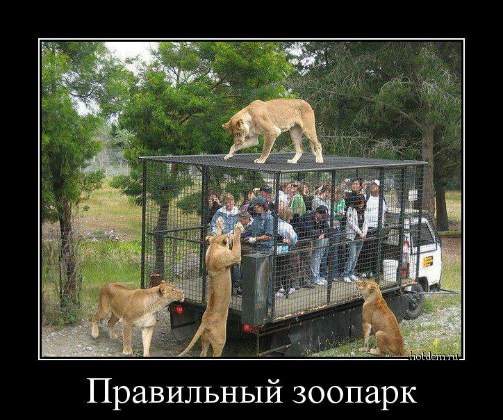 Правильный зоопарк 
