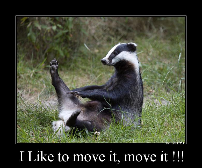 I Like to move it, move it !!! 