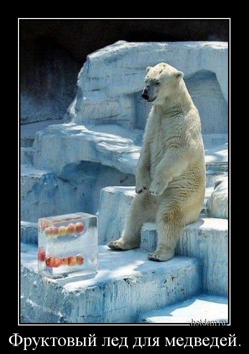 Фруктовый лед для медведей. 