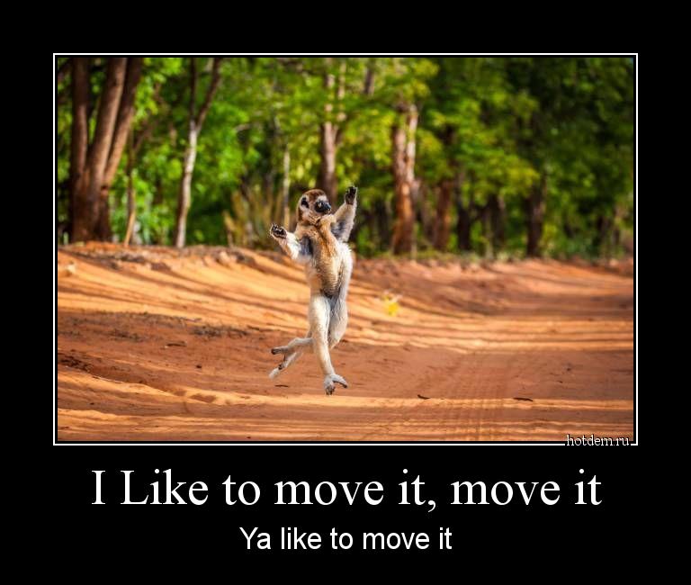 I Like to move it, move it Ya like to move it