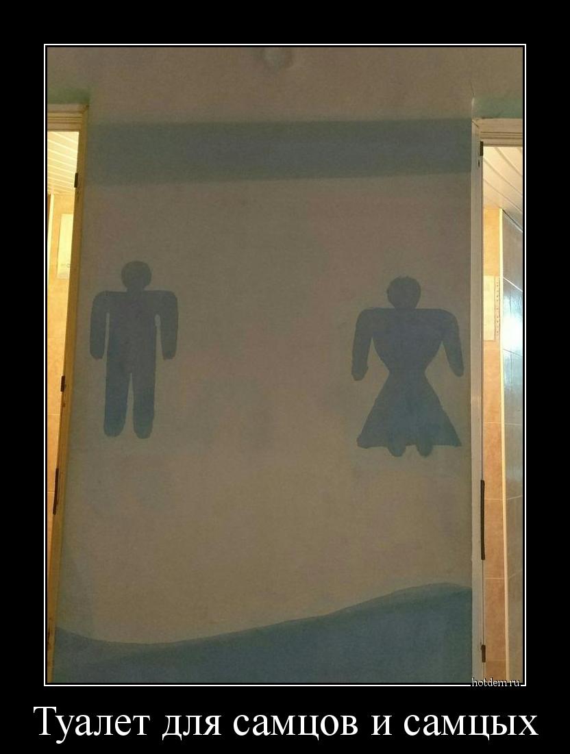 Туалет для самцов и самцых 