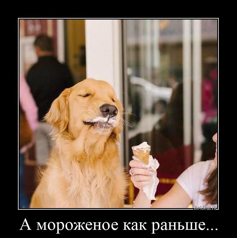 А мороженое как раньше... 