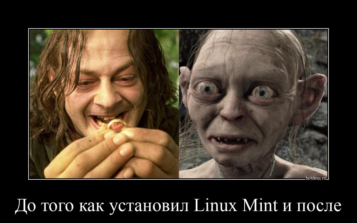 До того как установил Linux Mint и после 