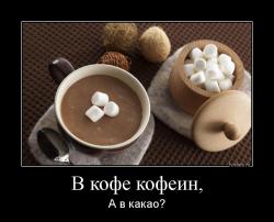 В кофе кофеин, А в какао?