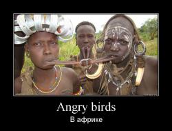 Angry birds В африке