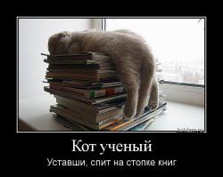 Кот ученый Уставши, спит на стопке книг