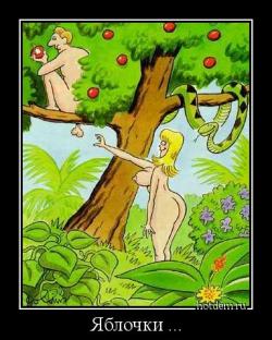 Яблочки ... 