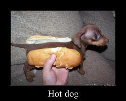 Hot dog 