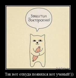   Так вот откуда появился кот ученый!)) 