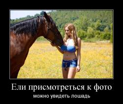 Ели присмотреться к фото можно увидеть лошадь