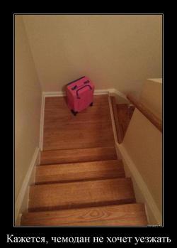 Кажется, чемодан не хочет уезжать 