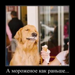 А мороженое как раньше... 