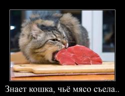Знает кошка, чьё мясо съела.. 